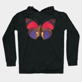 Claudina Butterfly Digital Painting Hoodie